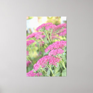 Fuschia Pink Flower Leinwand