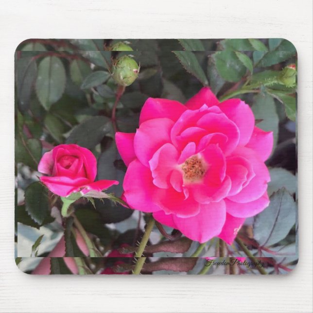 Fuscia Rose Mouse Pad Mousepad (Vorne)