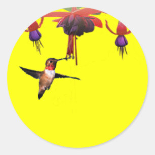 Fushia und Hummingbird Runder Aufkleber