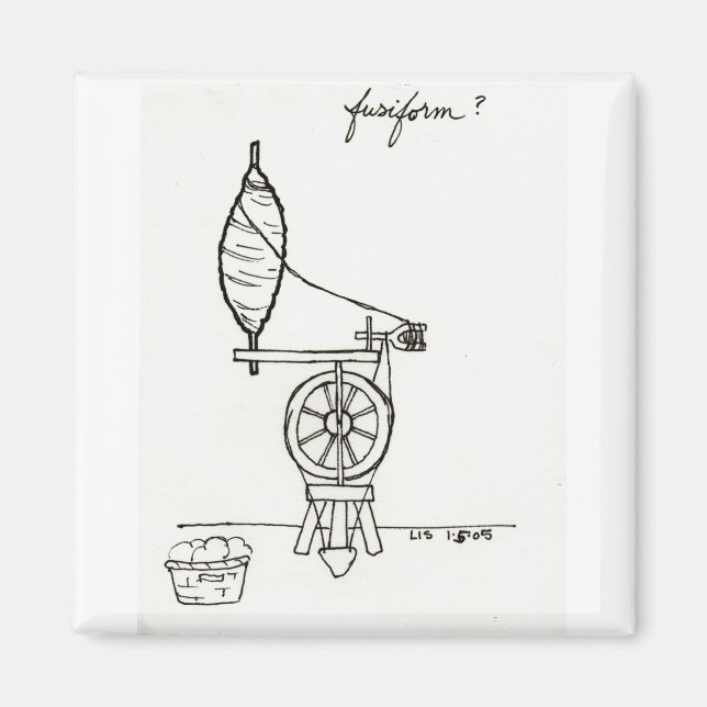 Fusiformmagnet Magnet (Vorne)