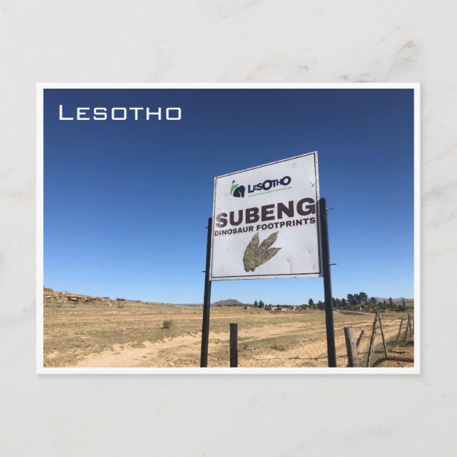 Fußabdrücke von Dinosauriern Postkarte (Vorderseite)