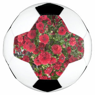 Fußball