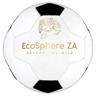 Fußball