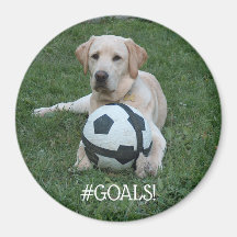 Fußball-Labrador #GOALS! Magnet