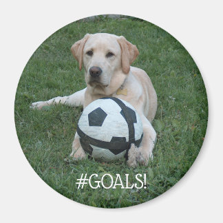 Fußball-Labrador #GOALS! Magnet