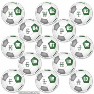 Fußball-Mannschaft färbt graues Set von 13 Aufkleber