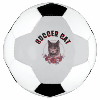 Fußballkatzenball Fußball