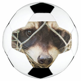 Fußballspiel Fußball