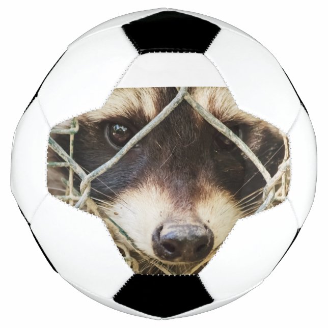 Fußballspiel Fußball (Vorderseite)