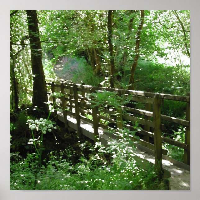 Fußbrücke in Woodland. Poster (Vorne)