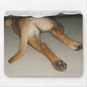 Füße und Schwanz des gelben Labradors verfolgen Mousepad