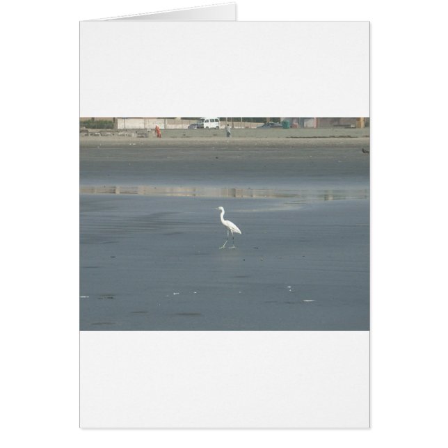 Fußgängersolo.JPG (Vorne)