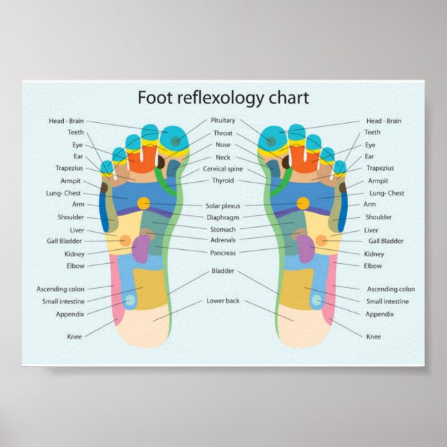 Fußreflexologie-7x5" Poster (Vorne)