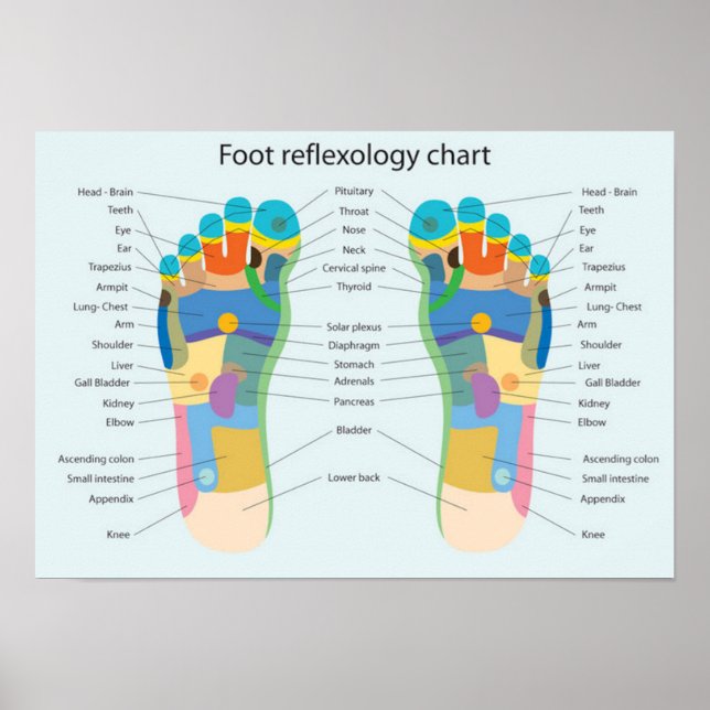 Fußreflexzonenmassage 18x13" poster (Vorne)