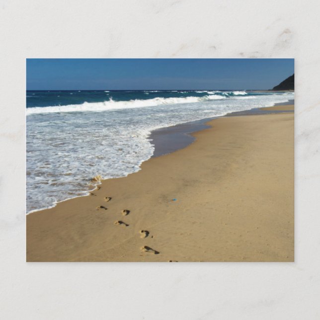 Fußspuren am Strand, in Mabibi, in Thongaland Postkarte (Vorderseite)