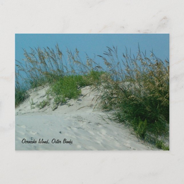 Fußspuren und Sanddünen, Insel Okracoke, NC Postkarte (Vorderseite)