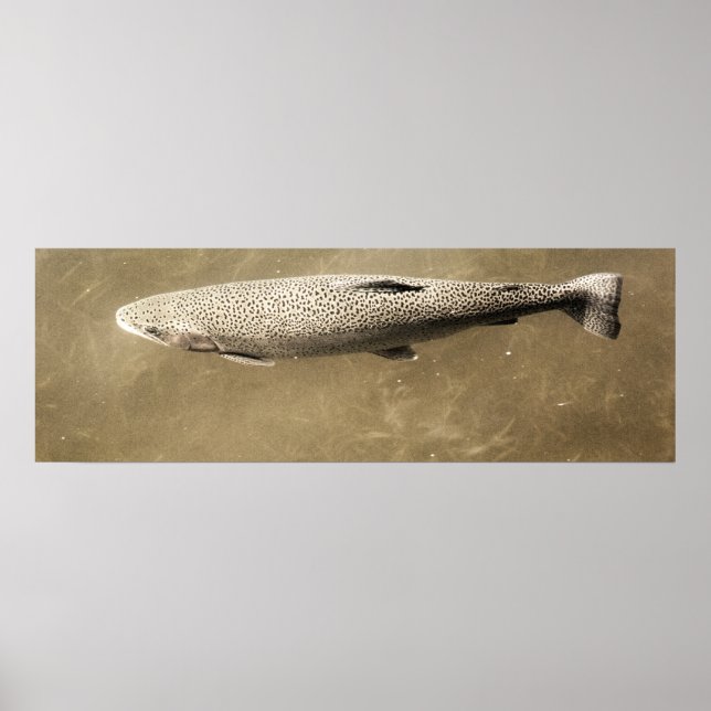 Fußstapfen Poster (Vorne)