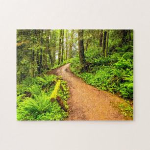 Fußweg in Forest Park
