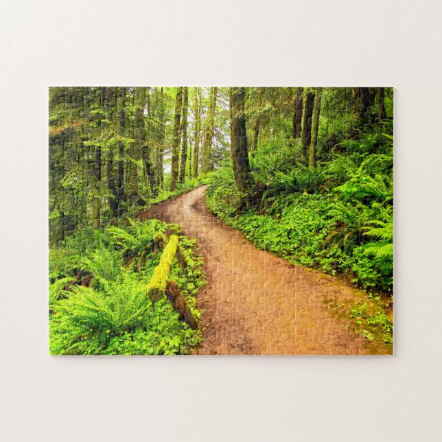 Fußweg in Forest Park (Horizontal)