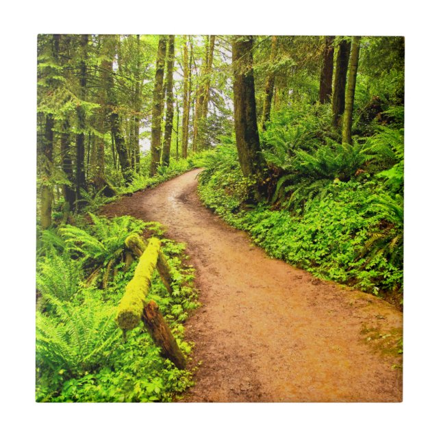 Fußweg in Forest Park Fliese (Vorderseite)