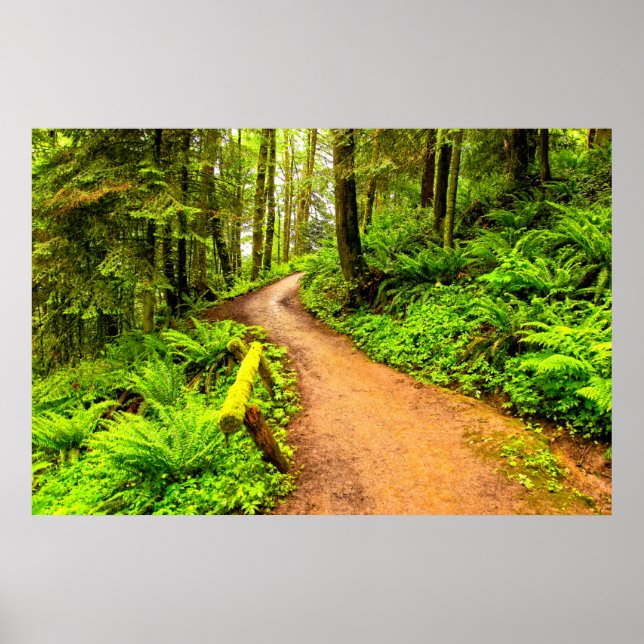 Fußweg zum Waldpark Poster (Vorne)