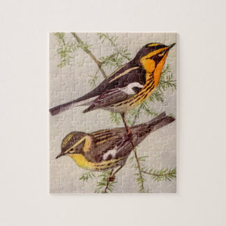 Futes Blackburnian Warbler Bird Painting Jigsaw