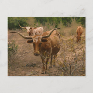 Futtermittel für Lebensmittel Postkarte