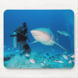 Füttern des Stiers Mousepad