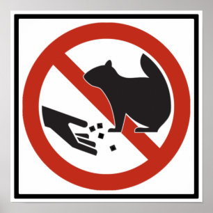 Füttern Sie den Eichhörnchen Landstraßen-Zeichen Poster
