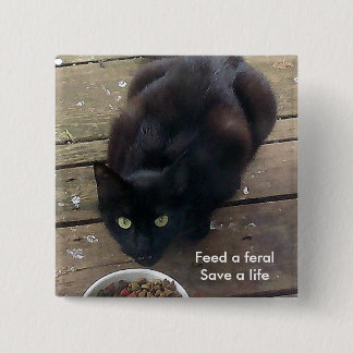 "Füttern Sie ein wildes, wilder Katzenknopf retten Button
