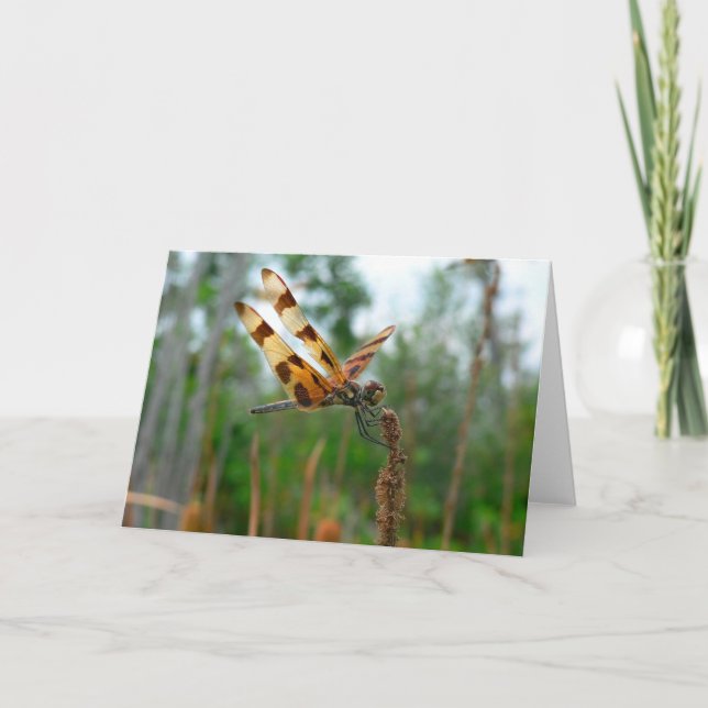 Füttern von Zeit Karte (Vorderseite)