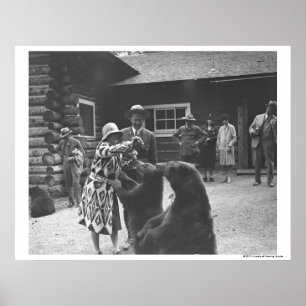 Fütternd Bären. Poster