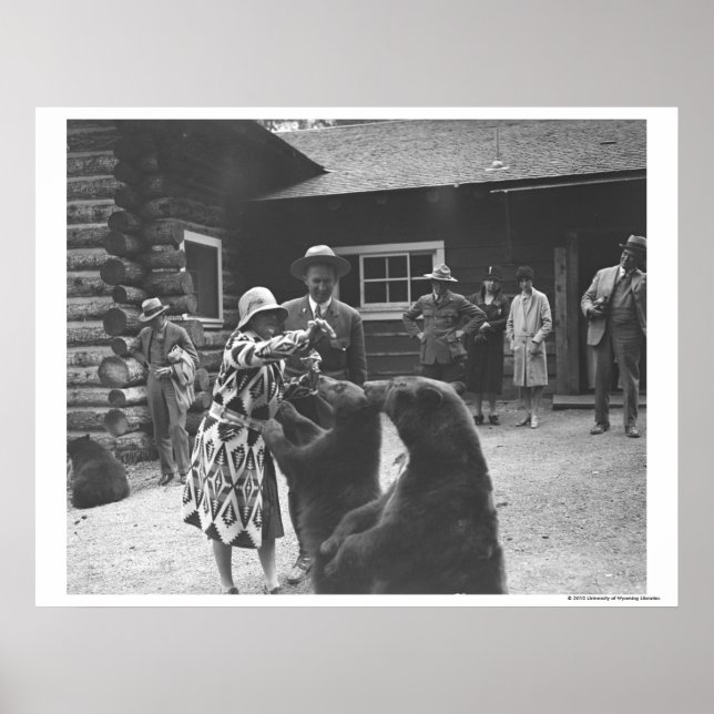 Fütternd Bären. Poster (Vorne)