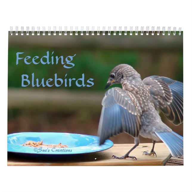 Fütternd Bluebirds Kalender (Titelbild)