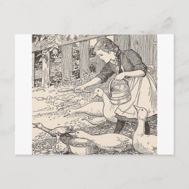 Fütternd Enten Postkarte (Vorderseite)