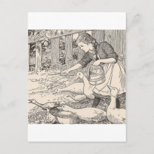 Fütternd Enten Postkarte