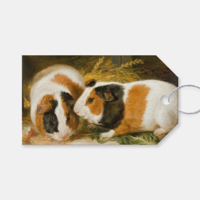 Fütternd Guinea von Haustieren (von James Ward) Geschenkanhänger (Vorderseite (Horizontal))