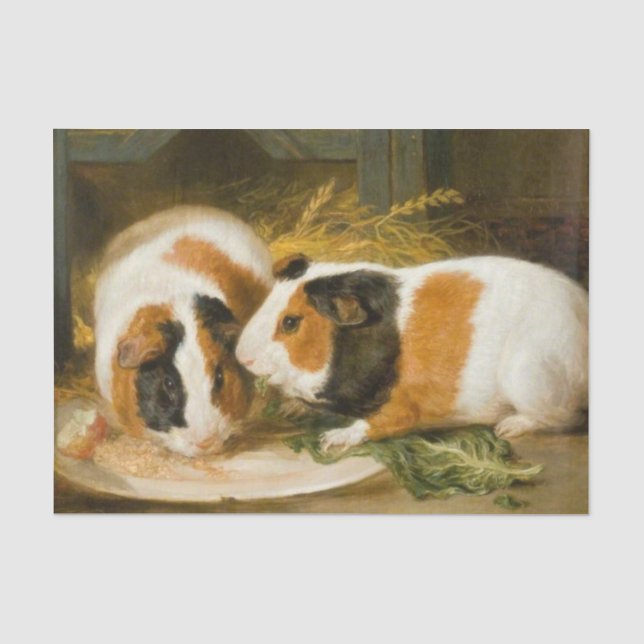 Fütternd Guinea von Haustieren (von James Ward) Seidenpapier (Vorderseite)