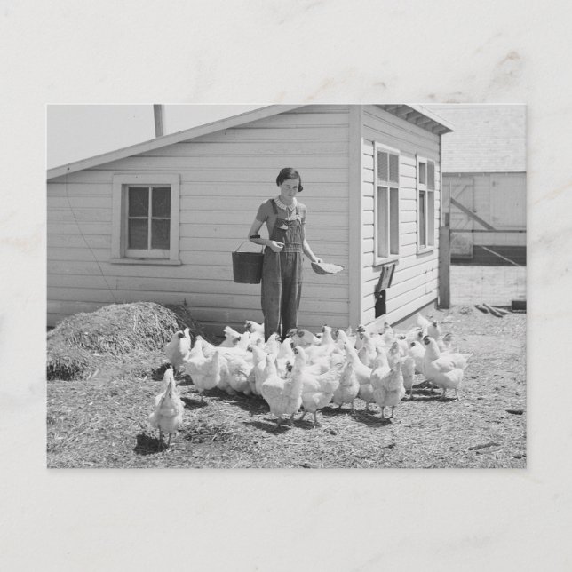 Fütternd Hühner, 1936 Postkarte (Vorderseite)