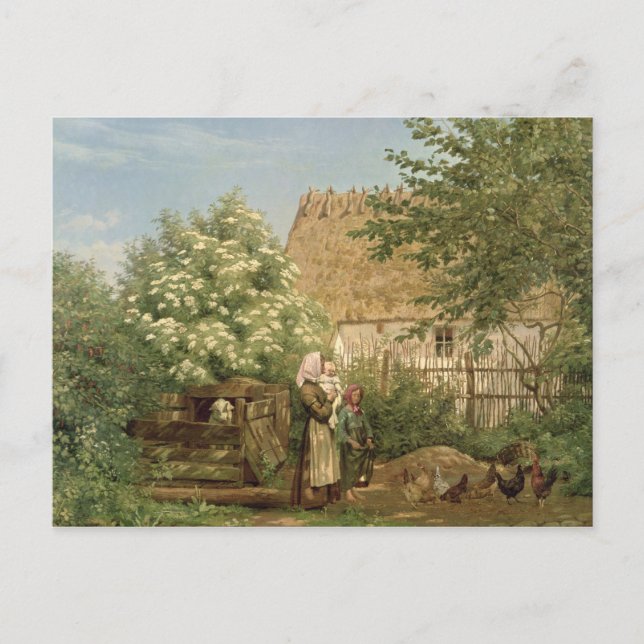 Fütternd Hühner Postkarte (Vorderseite)