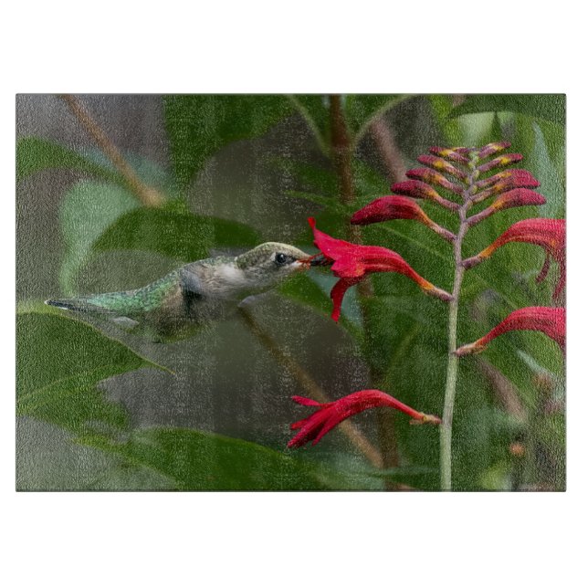 Fütternd Hummingvogel bei roter Krekosmie Schneidebrett (Vorderseite)