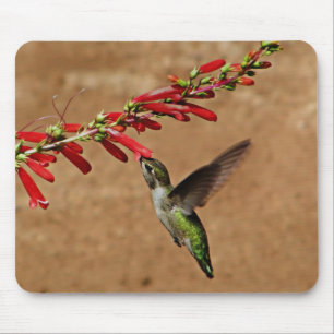 Fütternd Hummingvogel im Garten Mousepad