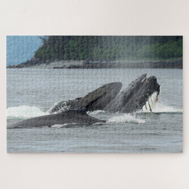 Fütternd Humpbackwale (Horizontal)