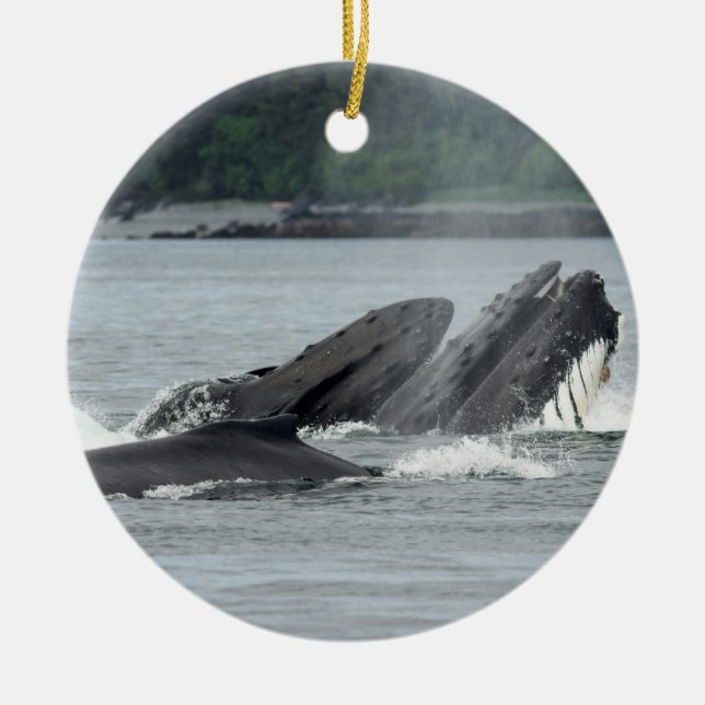 Fütternd Humpbackwale Keramik Ornament (Vorne)