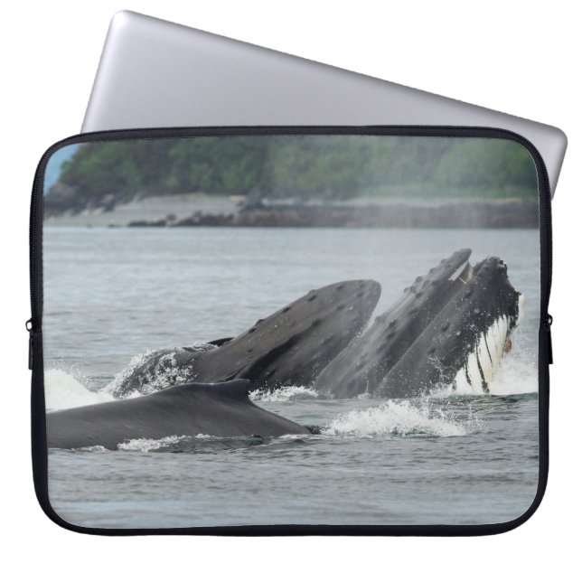 Fütternd Humpbackwale Laptopschutzhülle (Vorderseite)