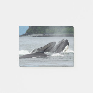 Fütternd Humpbackwale Post-it Klebezettel
