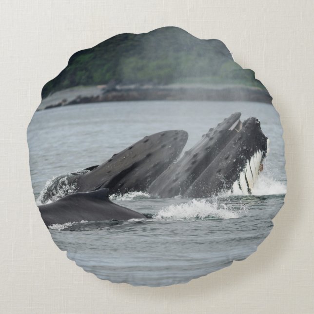 Fütternd Humpbackwale Rundes Kissen (Rückseite)
