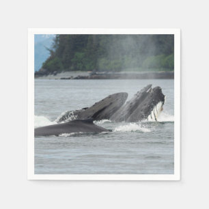 Fütternd Humpbackwale Serviette