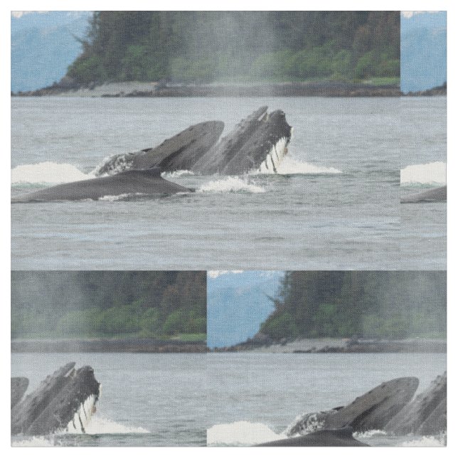 Fütternd Humpbackwale Stoff (Nahaufnahme)