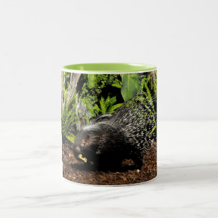 Fütternd Porcupine Zweifarbige Tasse